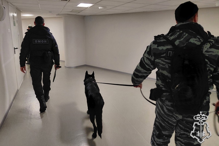 Росгвардия в Красноярске обеспечила безопасность международного турнира по борьбе