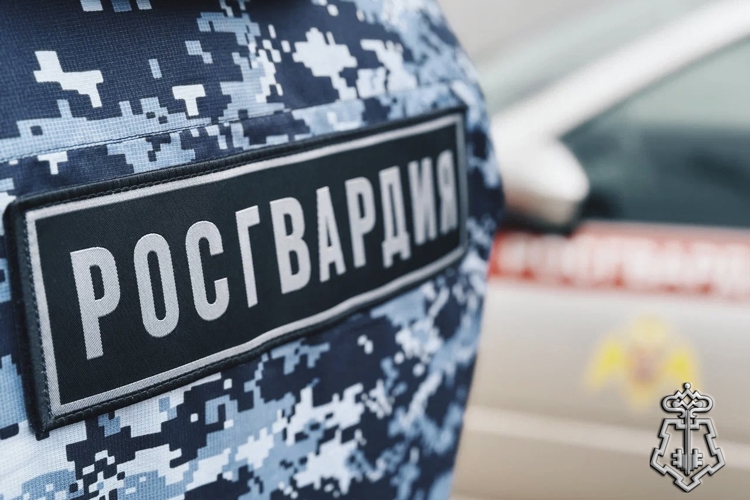 Сотрудники Росгвардии задержали подозреваемого в краже входной двери из магазина