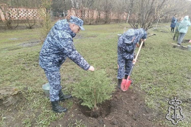 Ачинские росгвардейцы присоединились к акции «Сад памяти»