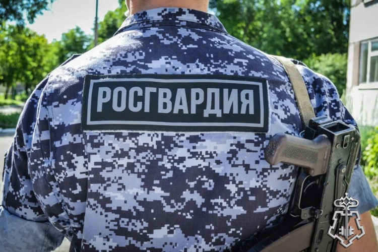 В Красноярске сотрудники вневедомственной охраны Росгвардии задержали женщину, подозреваемую в краже растений из торгового центра
