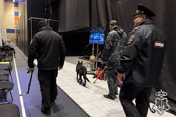 В Красноярске росгвардейцы обеспечили правопорядок во время финала VI Международной олимпиады по финансовой безопасности 