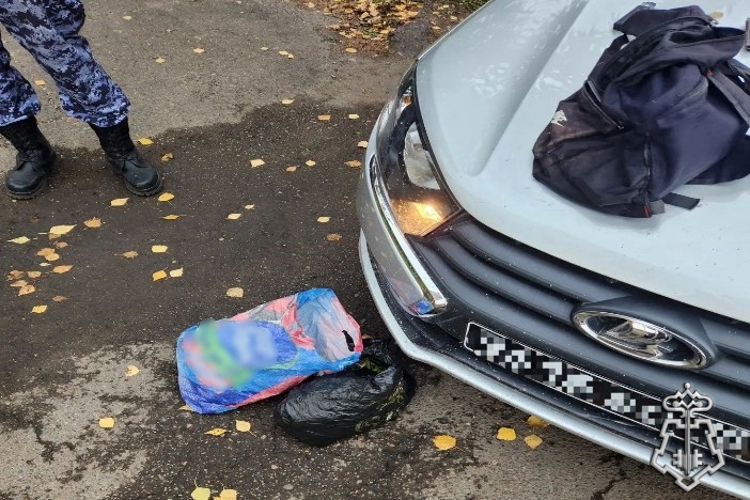 Красноярске росгвардейцы задержали мужчину с пакетом марихуаны (Видео)